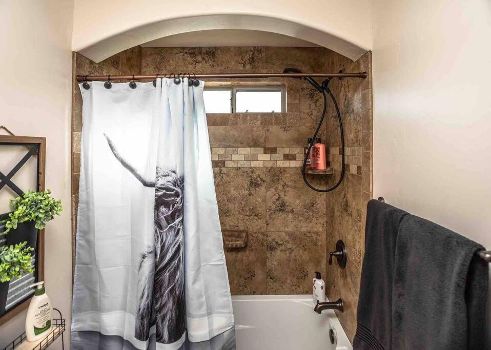 Hot Tub . Spacious . Pets . Central . Boat Parking Lake Havasu City Εξωτερικό φωτογραφία